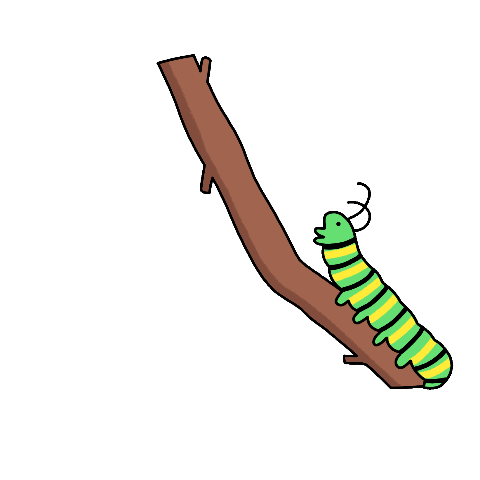 metamorfoza